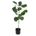 GloboStar® Artificial Garden POLYSCIAS BALFOURIANA TREE 20373 Τεχνητό Διακοσμητικό Φυτό Πολυσκιά Υ70cm GloboStar® Artificial Garden POLYSCIAS BALFOURIANA TREE 20373 Τεχνητό Διακοσμητικό Φυτό Πολυσκιά Υ70cm
