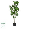 GloboStar® Artificial Garden POLYSCIAS BALFOURIANA TREE 20374 Τεχνητό Διακοσμητικό Φυτό Πολυσκιά Υ110cm GloboStar® Artificial Garden POLYSCIAS BALFOURIANA TREE 20374 Τεχνητό Διακοσμητικό Φυτό Πολυσκιά Υ110cm