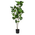 GloboStar® Artificial Garden POLYSCIAS BALFOURIANA TREE 20374 Τεχνητό Διακοσμητικό Φυτό Πολυσκιά Υ110cm GloboStar® Artificial Garden POLYSCIAS BALFOURIANA TREE 20374 Τεχνητό Διακοσμητικό Φυτό Πολυσκιά Υ110cm