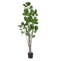 GloboStar® Artificial Garden POLYSCIAS BALFOURIANA TREE 20375 Τεχνητό Διακοσμητικό Φυτό Πολυσκιά Υ180cm GloboStar® Artificial Garden POLYSCIAS BALFOURIANA TREE 20375 Τεχνητό Διακοσμητικό Φυτό Πολυσκιά Υ180cm