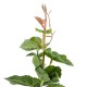 GloboStar® Artificial Garden VITIS GRAPE TREE 20379 Τεχνητό Διακοσμητικό Φυτό Άμπελος Υ90cm