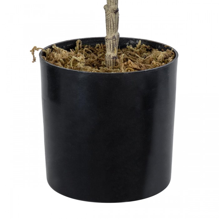 GloboStar® Artificial Garden FIG TREE 20380 Τεχνητό Διακοσμητικό Φυτό Συκιά Υ50cm