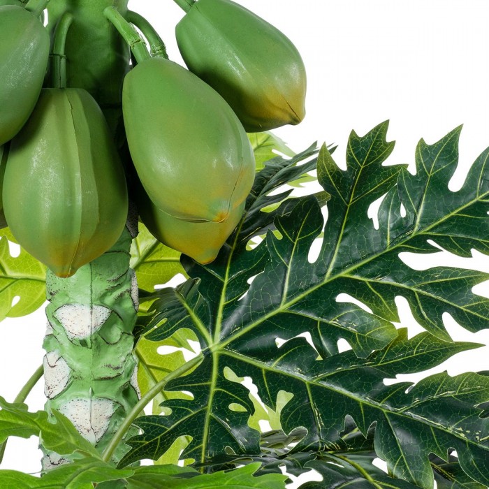GloboStar® Artificial Garden PAPAYA TREE 20383 Τεχνητό Διακοσμητικό Φυτό Παπάγια Υ270cm GloboStar® Artificial Garden PAPAYA TREE 20383 Τεχνητό Διακοσμητικό Φυτό Παπάγια Υ270cm