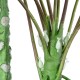 GloboStar® Artificial Garden PAPAYA TREE 20383 Τεχνητό Διακοσμητικό Φυτό Παπάγια Υ270cm GloboStar® Artificial Garden PAPAYA TREE 20383 Τεχνητό Διακοσμητικό Φυτό Παπάγια Υ270cm
