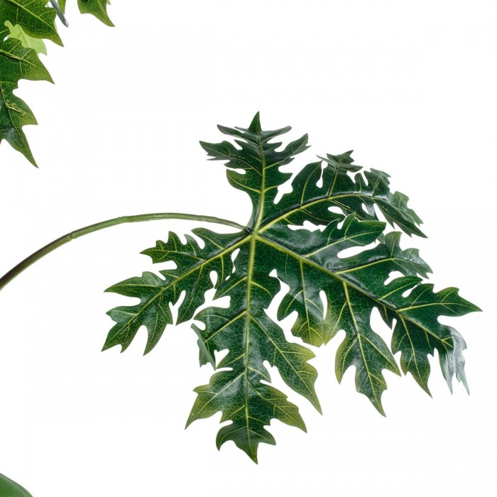 GloboStar® Artificial Garden PAPAYA TREE 20383 Τεχνητό Διακοσμητικό Φυτό Παπάγια Υ270cm GloboStar® Artificial Garden PAPAYA TREE 20383 Τεχνητό Διακοσμητικό Φυτό Παπάγια Υ270cm