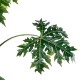 GloboStar® Artificial Garden PAPAYA TREE 20383 Τεχνητό Διακοσμητικό Φυτό Παπάγια Υ270cm GloboStar® Artificial Garden PAPAYA TREE 20383 Τεχνητό Διακοσμητικό Φυτό Παπάγια Υ270cm