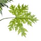 GloboStar® Artificial Garden PAPAYA TREE 20383 Τεχνητό Διακοσμητικό Φυτό Παπάγια Υ270cm GloboStar® Artificial Garden PAPAYA TREE 20383 Τεχνητό Διακοσμητικό Φυτό Παπάγια Υ270cm