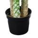 GloboStar® Artificial Garden PAPAYA TREE 20383 Τεχνητό Διακοσμητικό Φυτό Παπάγια Υ270cm GloboStar® Artificial Garden PAPAYA TREE 20383 Τεχνητό Διακοσμητικό Φυτό Παπάγια Υ270cm