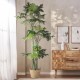 GloboStar® Artificial Garden PAPAYA TREE 20383 Τεχνητό Διακοσμητικό Φυτό Παπάγια Υ270cm GloboStar® Artificial Garden PAPAYA TREE 20383 Τεχνητό Διακοσμητικό Φυτό Παπάγια Υ270cm