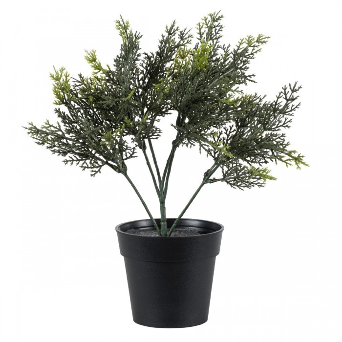 GloboStar® Artificial Garden LEMON CYPRESS 20389 Τεχνητό Διακοσμητικό Φυτό Λεμονόκυπάρισσο Υ30cm GloboStar® Artificial Garden LEMON CYPRESS 20389 Τεχνητό Διακοσμητικό Φυτό Λεμονόκυπάρισσο Υ30cm