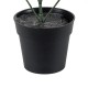 GloboStar® Artificial Garden LEMON CYPRESS 20389 Τεχνητό Διακοσμητικό Φυτό Λεμονόκυπάρισσο Υ30cm GloboStar® Artificial Garden LEMON CYPRESS 20389 Τεχνητό Διακοσμητικό Φυτό Λεμονόκυπάρισσο Υ30cm