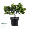 GloboStar® Artificial Garden ANUBIA BARTERI 20390 Τεχνητό Διακοσμητικό Φυτό Ανούμπια Υ30cm GloboStar® Artificial Garden ANUBIA BARTERI 20390 Τεχνητό Διακοσμητικό Φυτό Ανούμπια Υ30cm