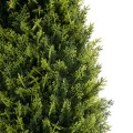 GloboStar® Artificial Garden CYPRESSUS SEMPERVIRENS 20396 Τεχνητό Διακοσμητικό Φυτό Μεσογειακό Κυπαρίσσι Υ180cm GloboStar® Artificial Garden CYPRESSUS SEMPERVIRENS 20396 Τεχνητό Διακοσμητικό Φυτό Μεσογειακό Κυπαρίσσι Υ180cm