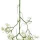 GloboStar® Artificial Garden EUCALYPTUS HANGING BRANCH 20409 Τεχνητό Διακοσμητικό Κρεμαστό Φυτό Ευκάλυπτος Υ89cm GloboStar® Artificial Garden EUCALYPTUS HANGING BRANCH 20409 Τεχνητό Διακοσμητικό Κρεμαστό Φυτό Ευκάλυπτος Υ89cm