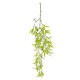 GloboStar® Artificial Garden SALIX MATSUDANA HANGING BRANCH 20411 Τεχνητό Διακοσμητικό Κρεμαστό Φυτό Ιτέα Υ80cm GloboStar® Artificial Garden SALIX MATSUDANA HANGING BRANCH 20411 Τεχνητό Διακοσμητικό Κρεμαστό Φυτό Ιτέα Υ80cm