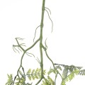 GloboStar® Artificial Garden FERN HANGING BRANCH 20413 Τεχνητό Διακοσμητικό Κρεμαστό Φυτό Φτέρη Υ89cm GloboStar® Artificial Garden FERN HANGING BRANCH 20413 Τεχνητό Διακοσμητικό Κρεμαστό Φυτό Φτέρη Υ89cm