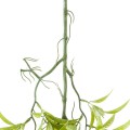 GloboStar® Artificial Garden SALIX MATSUDANA HANGING BRANCH 20414 Τεχνητό Διακοσμητικό Κρεμαστό Φυτό Ιτέα Υ80cm GloboStar® Artificial Garden SALIX MATSUDANA HANGING BRANCH 20414 Τεχνητό Διακοσμητικό Κρεμαστό Φυτό Ιτέα Υ80cm