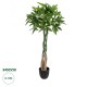 GloboStar® Artificial Garden PACHIRA GLABRA 20426 Τεχνητό Διακοσμητικό Φυτό Παχίρα της Τύχης Υ120cm GloboStar® Artificial Garden PACHIRA GLABRA 20426 Τεχνητό Διακοσμητικό Φυτό Παχίρα της Τύχης Υ120cm
