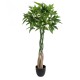 GloboStar® Artificial Garden PACHIRA GLABRA 20426 Τεχνητό Διακοσμητικό Φυτό Παχίρα της Τύχης Υ120cm GloboStar® Artificial Garden PACHIRA GLABRA 20426 Τεχνητό Διακοσμητικό Φυτό Παχίρα της Τύχης Υ120cm
