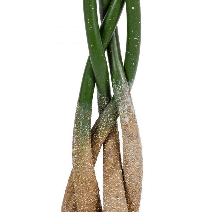 GloboStar® Artificial Garden PACHIRA GLABRA 20426 Τεχνητό Διακοσμητικό Φυτό Παχίρα της Τύχης Υ120cm GloboStar® Artificial Garden PACHIRA GLABRA 20426 Τεχνητό Διακοσμητικό Φυτό Παχίρα της Τύχης Υ120cm