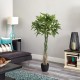 GloboStar® Artificial Garden PACHIRA GLABRA 20426 Τεχνητό Διακοσμητικό Φυτό Παχίρα της Τύχης Υ120cm GloboStar® Artificial Garden PACHIRA GLABRA 20426 Τεχνητό Διακοσμητικό Φυτό Παχίρα της Τύχης Υ120cm
