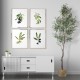 GloboStar® Artificial Garden OLIVE TREE 20429 Τεχνητό Διακοσμητικό Δέντρο Ελιά Υ240cm