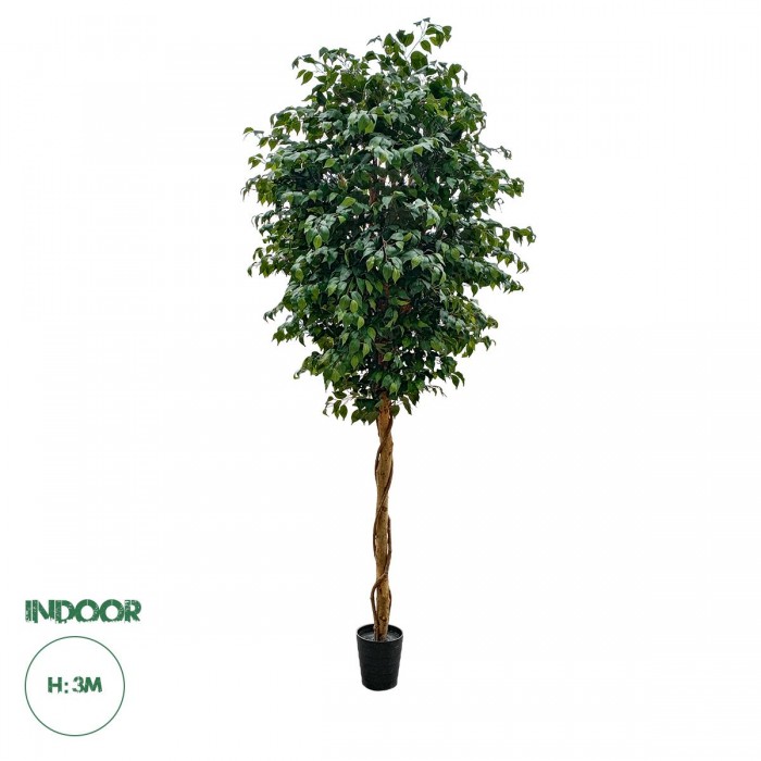 GloboStar® Artificial Garden FICUS BENJAMINA TREE 20432 Τεχνητό Διακοσμητικό Φυτό Φίκος Μπενζαμίνη Υ300cm GloboStar® Artificial Garden FICUS BENJAMINA TREE 20432 Τεχνητό Διακοσμητικό Φυτό Φίκος Μπενζαμίνη Υ300cm