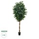GloboStar® Artificial Garden FICUS BENJAMINA TREE 20432 Τεχνητό Διακοσμητικό Φυτό Φίκος Μπενζαμίνη Υ300cm GloboStar® Artificial Garden FICUS BENJAMINA TREE 20432 Τεχνητό Διακοσμητικό Φυτό Φίκος Μπενζαμίνη Υ300cm