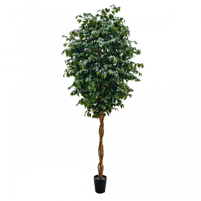 GloboStar® Artificial Garden FICUS BENJAMINA TREE 20432 Τεχνητό Διακοσμητικό Φυτό Φίκος Μπενζαμίνη Υ300cm GloboStar® Artificial Garden FICUS BENJAMINA TREE 20432 Τεχνητό Διακοσμητικό Φυτό Φίκος Μπενζαμίνη Υ300cm