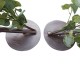 GloboStar® Artificial Garden EYCALYPTUS CINEREA ARCH 20434 Τεχνητή Διακοσμητική Αψίδα Ευκάλυπτου Μ250cm x Υ250cm GloboStar® Artificial Garden EYCALYPTUS CINEREA ARCH 20434 Τεχνητή Διακοσμητική Αψίδα Ευκάλυπτου Μ250cm x Υ250cm