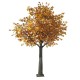 GloboStar® Artificial Garden ACER RUBRUM SYCAMORE TREE 20437 Τεχνητό Διακοσμητικό Δέντρο Κόκκινος Σφένδαμος Υ400cm GloboStar® Artificial Garden ACER RUBRUM SYCAMORE TREE 20437 Τεχνητό Διακοσμητικό Δέντρο Κόκκινος Σφένδαμος Υ400cm