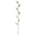 GloboStar® Artificial Garden BAMBOO BRANCH 20441 Τεχνητό Διακοσμητικό Κλαδί Μπαμπού Υ300cm GloboStar® Artificial Garden BAMBOO BRANCH 20441 Τεχνητό Διακοσμητικό Κλαδί Μπαμπού Υ300cm