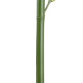 GloboStar® Artificial Garden BAMBOO BRANCH 20441 Τεχνητό Διακοσμητικό Κλαδί Μπαμπού Υ300cm GloboStar® Artificial Garden BAMBOO BRANCH 20441 Τεχνητό Διακοσμητικό Κλαδί Μπαμπού Υ300cm