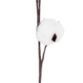 GloboStar® Artificial Garden COTTON BRANCH 20493 Τεχνητό Διακοσμητικό Κλαδί βαμβάκι Υ40cm GloboStar® Artificial Garden COTTON BRANCH 20493 Τεχνητό Διακοσμητικό Κλαδί βαμβάκι Υ40cm
