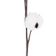 GloboStar® Artificial Garden COTTON BRANCH 20493 Τεχνητό Διακοσμητικό Κλαδί βαμβάκι Υ40cm