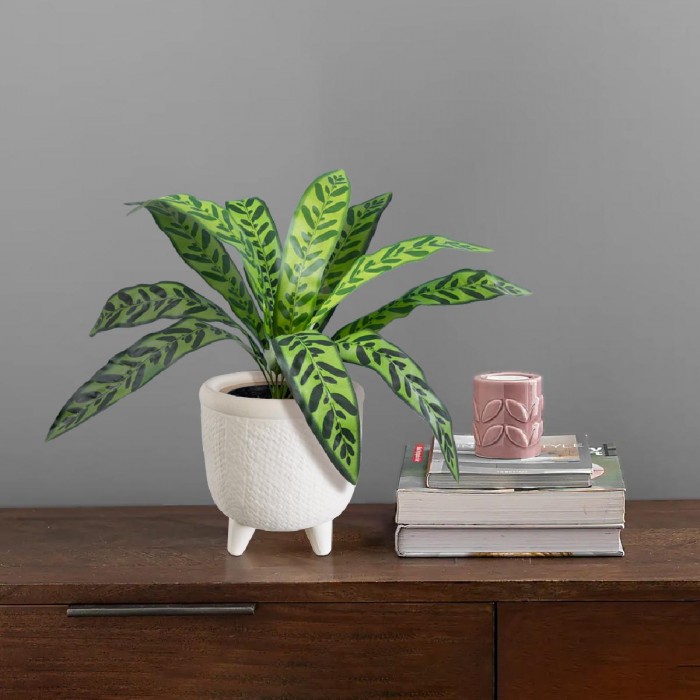 GloboStar® Artificial Garden YUKATAN 20513 Διακοσμητικό Κεραμικό Κασπώ Γλάστρα - Flower Pot Μπεζ Φ16 x Υ17.5cm GloboStar® Artificial Garden YUKATAN 20513 Διακοσμητικό Κεραμικό Κασπώ Γλάστρα - Flower Pot Μπεζ Φ16 x Υ17.5cm