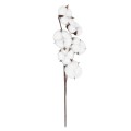 GloboStar® Artificial Garden COTTON BRANCH 20558 Τεχνητό Διακοσμητικό Κλαδί βαμβάκι Υ45cm GloboStar® Artificial Garden COTTON BRANCH 20558 Τεχνητό Διακοσμητικό Κλαδί βαμβάκι Υ45cm