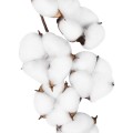 GloboStar® Artificial Garden COTTON BRANCH 20558 Τεχνητό Διακοσμητικό Κλαδί βαμβάκι Υ45cm GloboStar® Artificial Garden COTTON BRANCH 20558 Τεχνητό Διακοσμητικό Κλαδί βαμβάκι Υ45cm