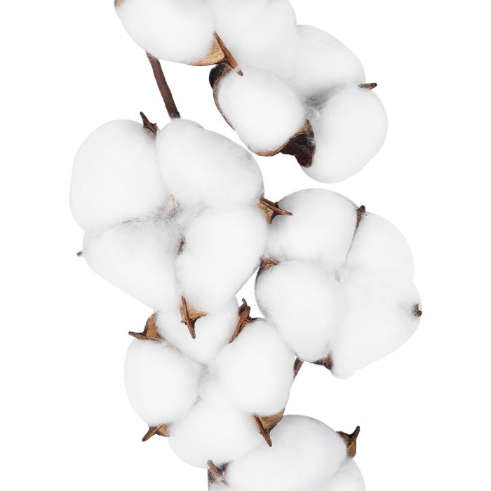 GloboStar® Artificial Garden COTTON BRANCH 20558 Τεχνητό Διακοσμητικό Κλαδί βαμβάκι Υ45cm