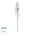 GloboStar® Artificial Garden COTTON BRANCH 20559 Τεχνητό Διακοσμητικό Κλαδί βαμβάκι Y55cm GloboStar® Artificial Garden COTTON BRANCH 20559 Τεχνητό Διακοσμητικό Κλαδί βαμβάκι Y55cm