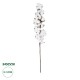 GloboStar® Artificial Garden COTTON BRANCH 20559 Τεχνητό Διακοσμητικό Κλαδί βαμβάκι Y55cm