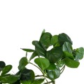 GloboStar® Artificial Garden HANGING PEPEROMIA 20599 Τεχνητό Διακοσμητικό Κρεμαστό Φυτό Πεπερόμια Μ30 x Π31 x Υ50cm GloboStar® Artificial Garden HANGING PEPEROMIA 20599 Τεχνητό Διακοσμητικό Κρεμαστό Φυτό Πεπερόμια Μ30 x Π31 x Υ50cm