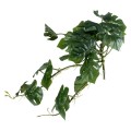 GloboStar® Artificial Garden HANGING MONSTERA 20600 Τεχνητό Διακοσμητικό Κρεμαστό Φυτό Μονστέρα Μ28 x Π30 x Υ50cm GloboStar® Artificial Garden HANGING MONSTERA 20600 Τεχνητό Διακοσμητικό Κρεμαστό Φυτό Μονστέρα Μ28 x Π30 x Υ50cm
