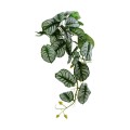 GloboStar® Artificial Garden HANGING ALOCASIA 20601 Τεχνητό Διακοσμητικό Κρεμαστό Φυτό Αλοκάσια Μ28 x Π27 x Υ50cm GloboStar® Artificial Garden HANGING ALOCASIA 20601 Τεχνητό Διακοσμητικό Κρεμαστό Φυτό Αλοκάσια Μ28 x Π27 x Υ50cm