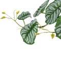 GloboStar® Artificial Garden HANGING ALOCASIA 20601 Τεχνητό Διακοσμητικό Κρεμαστό Φυτό Αλοκάσια Μ28 x Π27 x Υ50cm GloboStar® Artificial Garden HANGING ALOCASIA 20601 Τεχνητό Διακοσμητικό Κρεμαστό Φυτό Αλοκάσια Μ28 x Π27 x Υ50cm