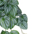 GloboStar® Artificial Garden PEPEROMIA HANGING PLANT 20603 Τεχνητό Διακοσμητικό Κρεμαστό Φυτό Πεπερόμια Υ45cm GloboStar® Artificial Garden PEPEROMIA HANGING PLANT 20603 Τεχνητό Διακοσμητικό Κρεμαστό Φυτό Πεπερόμια Υ45cm