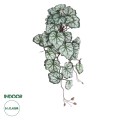 GloboStar® Artificial Garden REX BEGONIA HANGING PLANT 20604 Τεχνητό Διακοσμητικό Κρεμαστό Φυτό Βιγόνια Υ45cm GloboStar® Artificial Garden REX BEGONIA HANGING PLANT 20604 Τεχνητό Διακοσμητικό Κρεμαστό Φυτό Βιγόνια Υ45cm