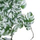 GloboStar® Artificial Garden ALBINO MONSTERA HANGING PLANT 20606 Τεχνητό Διακοσμητικό Κρεμαστό Φυτό Μονστέρα Υ45cm