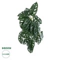 GloboStar® Artificial Garden MONSTERA HANGING PLANT 20608 Τεχνητό Διακοσμητικό Κρεμαστό Φυτό Μονστέρα Υ45cm GloboStar® Artificial Garden MONSTERA HANGING PLANT 20608 Τεχνητό Διακοσμητικό Κρεμαστό Φυτό Μονστέρα Υ45cm