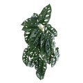 GloboStar® Artificial Garden MONSTERA HANGING PLANT 20608 Τεχνητό Διακοσμητικό Κρεμαστό Φυτό Μονστέρα Υ45cm GloboStar® Artificial Garden MONSTERA HANGING PLANT 20608 Τεχνητό Διακοσμητικό Κρεμαστό Φυτό Μονστέρα Υ45cm